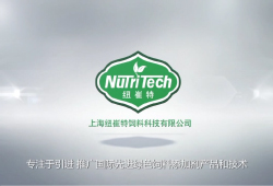 上海纽崔特企业视频